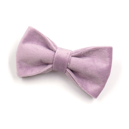 Dark Grey Velvet Pet Collar Leash